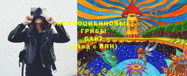 сатива Алексеевка